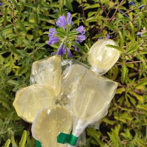 Suçon mélisse citronnelle