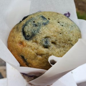Muffin bleuets